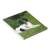 Border Collie Notizblock (angewinkelt)