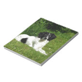 Border Collie Notizblock (Rotiert)