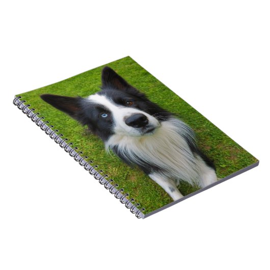 Border Collie Notizblock (Rechte Seite)