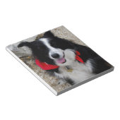 Border Collie Notizblock (angewinkelt)