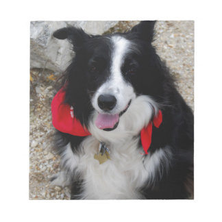 Border Collie Notizblock