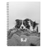 Border Collie Notizblock (Vorderseite)