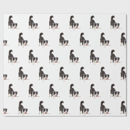 Border Collie on White Geschenkpapier (Flach)