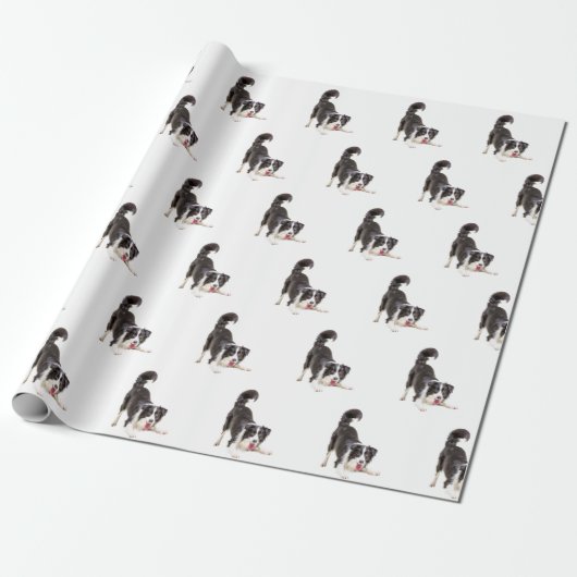 Border Collie on White Geschenkpapier (Ungerollt)