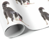 Border Collie on White Geschenkpapier (Rolleneckpunkt)