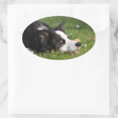 Border-Collie Ovaler Aufkleber (Tasche)