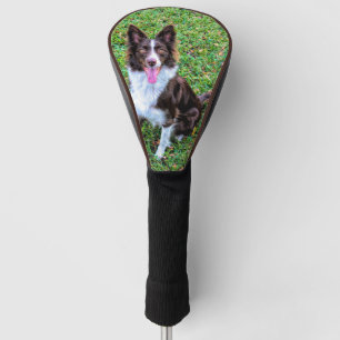 Border Collie p3 Golf Headcover