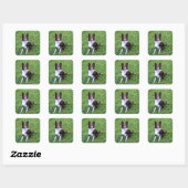 Border Collie p3 Quadratischer Aufkleber (Blatt)