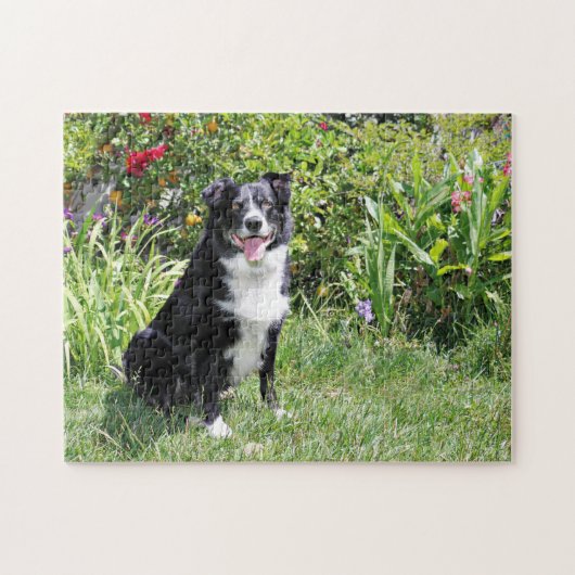 Border-Collie - Paddy - Pasten Puzzle (Horizontal)