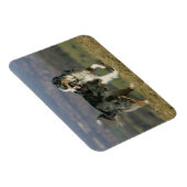 Border Collie Panting 2 Magnet (Rechte Seite)
