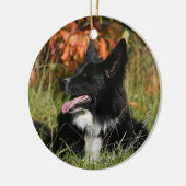 Border Collie Panting Down Keramikornament (Links)