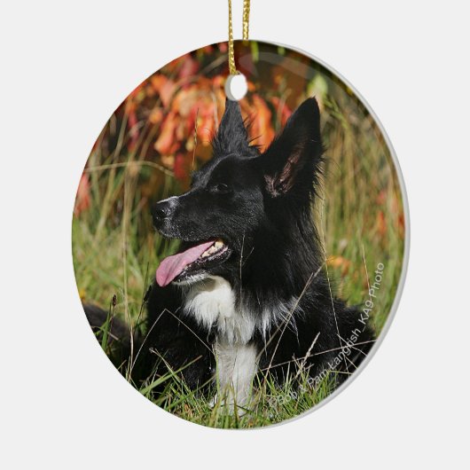 Border Collie Panting Down Keramikornament (Links)