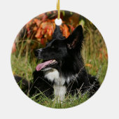 Border Collie Panting Down Keramikornament (Hinten)