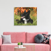 Border Collie Panting Down Leinwanddruck (Insitu (Wohnzimmer))