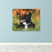 Border Collie Panting Down Leinwanddruck (Insitu (Holzboden))