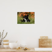 Border Collie Panting Down Poster (Küche)