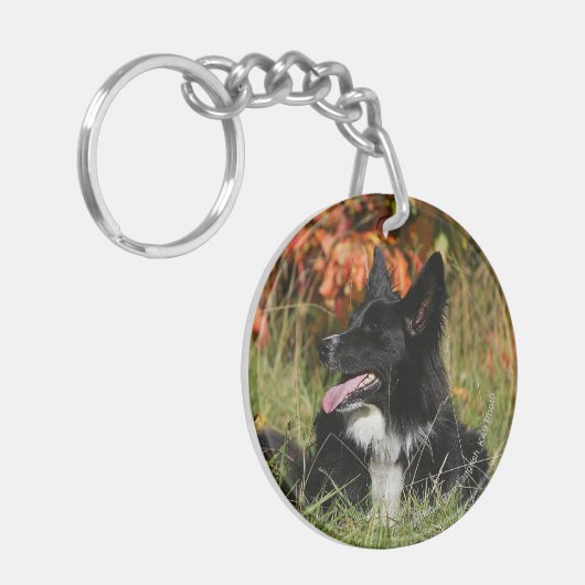 Border Collie Panting Down Schlüsselanhänger (Vorderseite links)