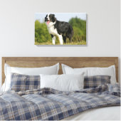 Border Collie Panting Stehend Leinwanddruck (Insitu (Schlafzimmer))