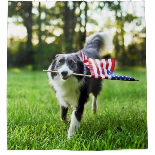 Border Collie Patriotic Dog Duschvorhang (Vorderseite)
