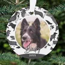 Border Collie Pattern Dog Name Foto Weihnachten