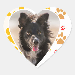 Border Collie Paw Print Liebe Herz Herz-Aufkleber
