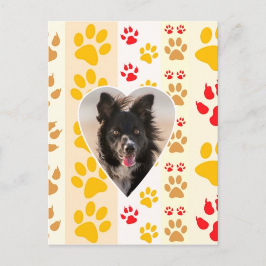 Border Collie Paw Print Liebe Herz Postkarte (Vorderseite)