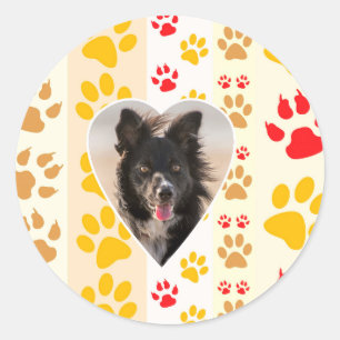 Border Collie Paw Print Liebe Herz Runder Aufkleber
