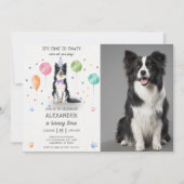 Border Collie Pawty Doppy Welpe Birthday Blue Foto Einladung (Vorderseite)