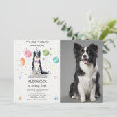 Border Collie Pawty Doppy Welpe Birthday Blue Foto Einladung (Stehend Vorderseite)