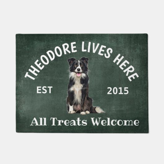 Border Collie Personalisiert Dog Lover Doormat Fußmatte (Vorderseite)