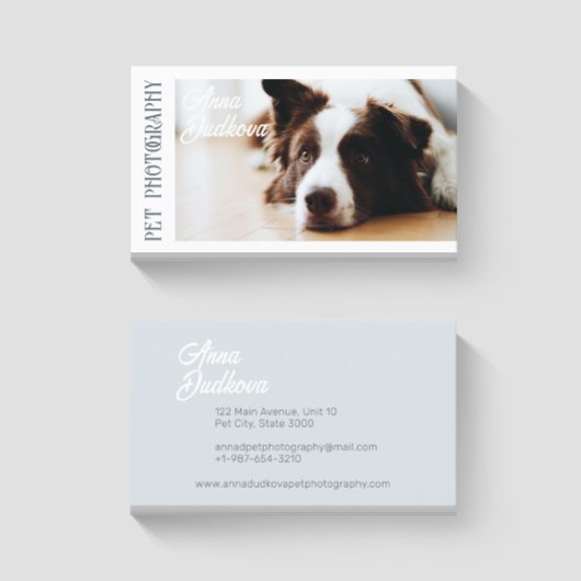 Border Collie Pet Fotografy Business Card Visitenkarte
