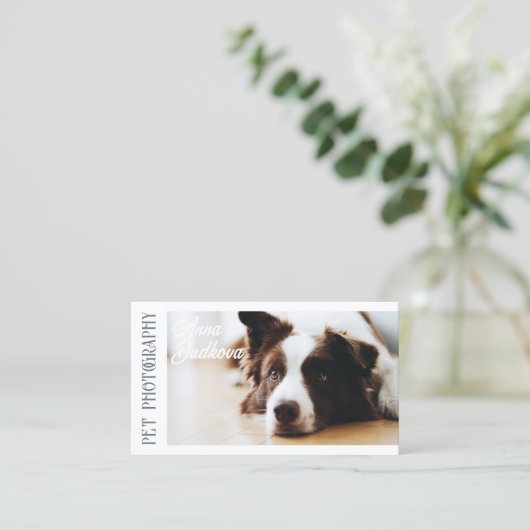 Border Collie Pet Fotografy Business Card Visitenkarte (Stehend Vorderseite)
