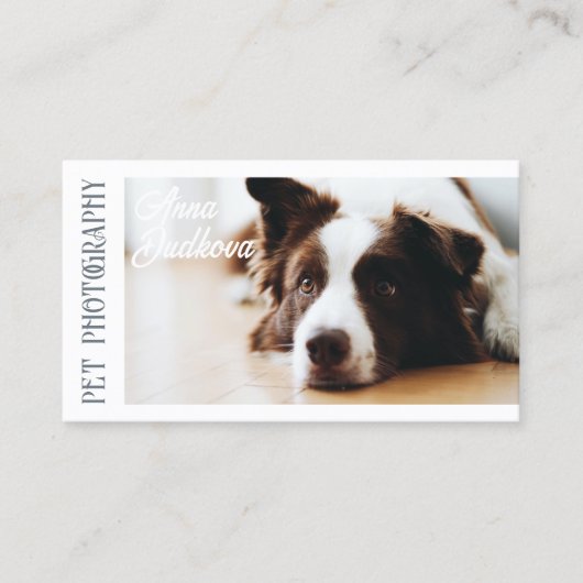 Border Collie Pet Fotografy Business Card Visitenkarte (Vorderseite)