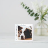 Border Collie Pet Fotografy Square Business Card Quadratische Visitenkarte (Stehend Vorderseite)