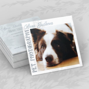 Border Collie Pet Fotografy Square Business Card Quadratische Visitenkarte