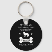 Border Collie Pet Hund Bester Freund