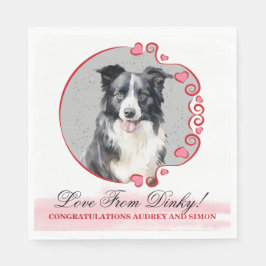 Border Collie Pet Wedkins mit Hunden Foto Serviette