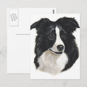 Border Collie Portrait Postkarte (Vorne/Hinten)