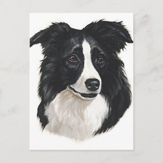 Border Collie Portrait Postkarte (Vorderseite)