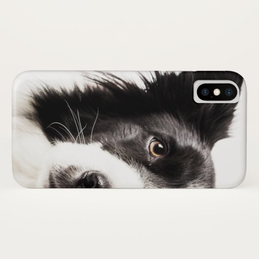Border-Collie-Porträt Case-Mate iPhone Hülle (Rückseite (Horizontal))