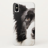 Border-Collie-Porträt Case-Mate iPhone Hülle (Rückseite)