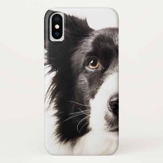 Border-Collie-Porträt Case-Mate iPhone Hülle (Rückseite)