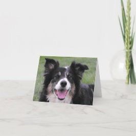 Border-Collie-Porträt Dankeskarte