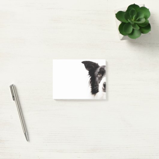 Border-Collie-Porträt Post-it Klebezettel (Büro)