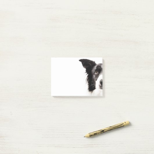 Border-Collie-Porträt Post-it Klebezettel (Auf Schreibtisch)