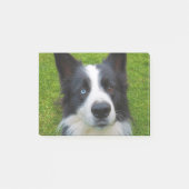 Border Collie Post-it Klebezettel (Vorderseite)