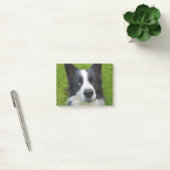 Border Collie Post-it Klebezettel (Büro)