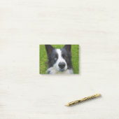 Border Collie Post-it Klebezettel (Auf Schreibtisch)