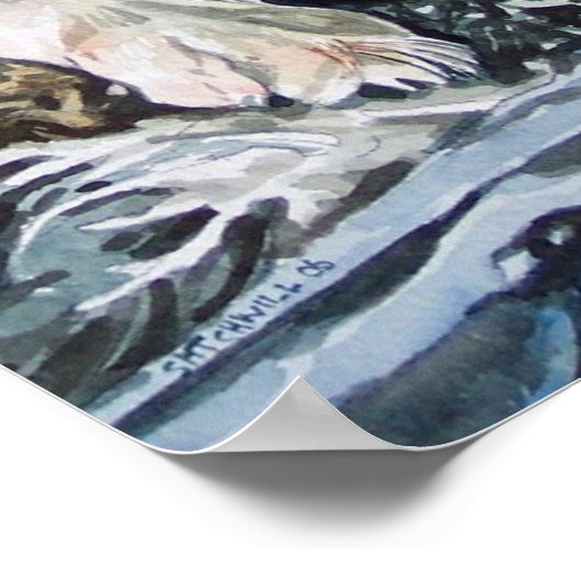 Border Collie Poster (Ecke)