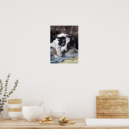 Border Collie Poster (Küche)